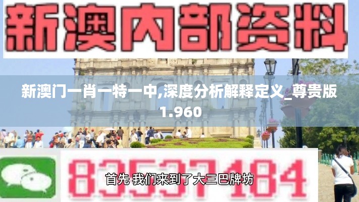 新澳门一肖一特一中,深度分析解释定义_尊贵版1.960