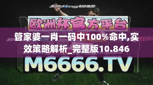 管家婆一肖一码中100%命中,实效策略解析_完整版10.846