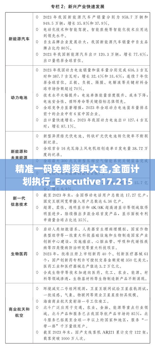 精准一码免费资料大全,全面计划执行_Executive17.215