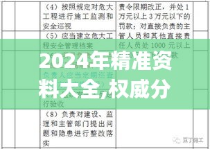 2024年精准资料大全,权威分析解释定义_PalmOS17.651