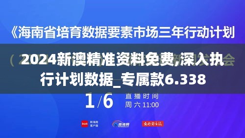 2024新澳精准资料免费,深入执行计划数据_专属款6.338