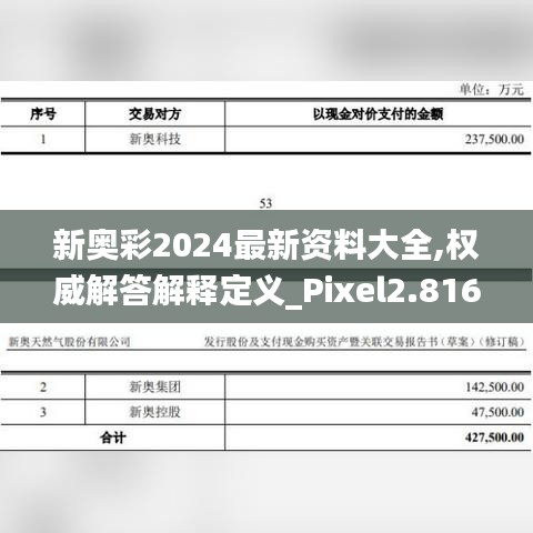 新奥彩2024最新资料大全,权威解答解释定义_Pixel2.816