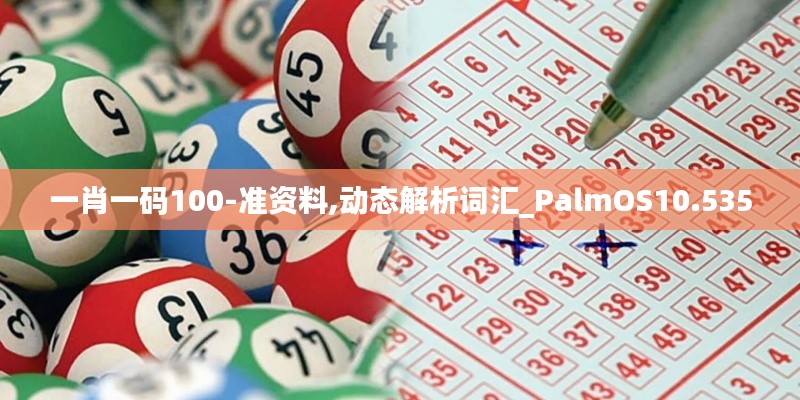一肖一码100-准资料,动态解析词汇_PalmOS10.535