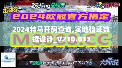 2024特马开码查询,实地验证数据设计_V210.833
