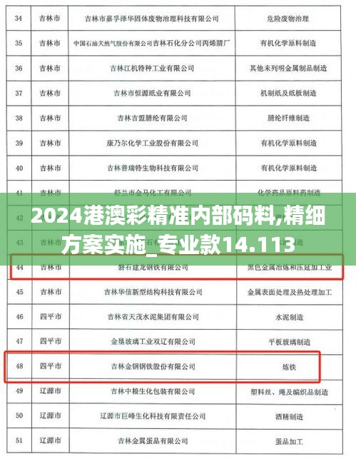 2024港澳彩精准内部码料,精细方案实施_专业款14.113