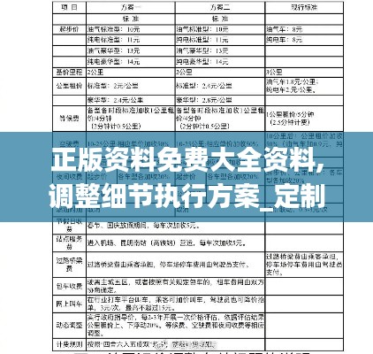 正版资料免费大全资料,调整细节执行方案_定制版9.199