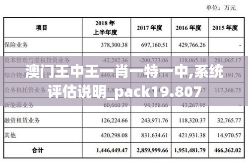 澳门王中王一肖一特一中,系统评估说明_pack19.807