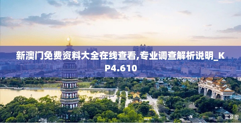 新澳门免费资料大全在线查看,专业调查解析说明_KP4.610