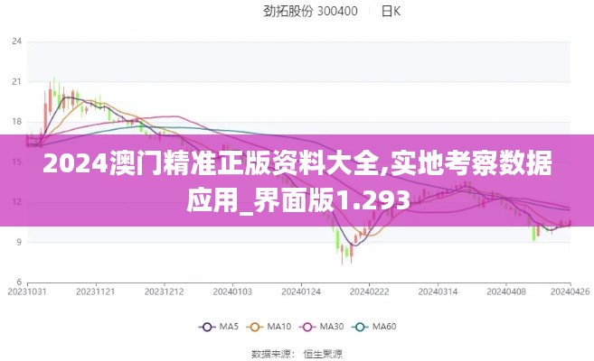 2024澳门精准正版资料大全,实地考察数据应用_界面版1.293