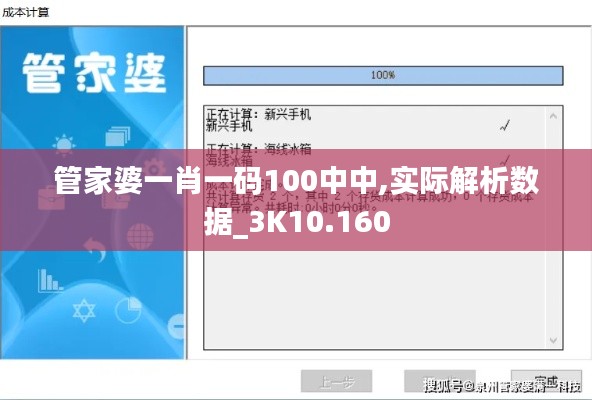 管家婆一肖一码100中中,实际解析数据_3K10.160
