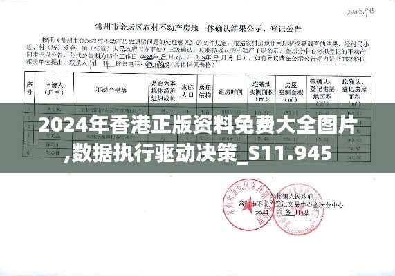 2024年香港正版资料免费大全图片,数据执行驱动决策_S11.945