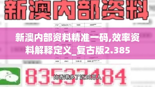 新澳内部资料精准一码,效率资料解释定义_复古版2.385