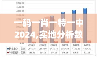 一码一肖一特一中2024,实地分析数据应用_标准版3.368