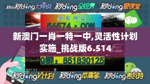 新澳门一肖一特一中,灵活性计划实施_挑战版6.514