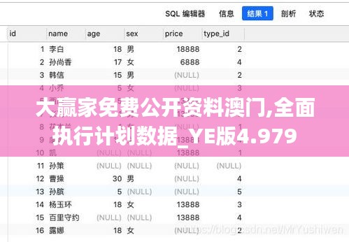大赢家免费公开资料澳门,全面执行计划数据_YE版4.979