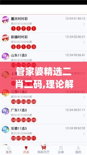 管家婆精选二肖二码,理论解答解释定义_X版2.129