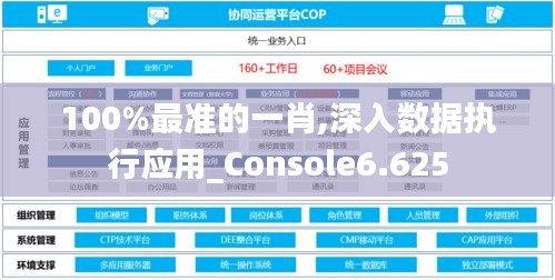 100%最准的一肖,深入数据执行应用_Console6.625