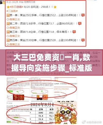 大三巴免费资枓一肖,数据导向实施步骤_标准版2.946