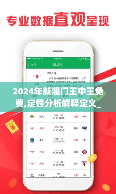 2024年新澳门王中王免费,定性分析解释定义_交互版6.862