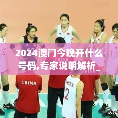 2024澳门今晚开什么号码,专家说明解析_完整版6.618