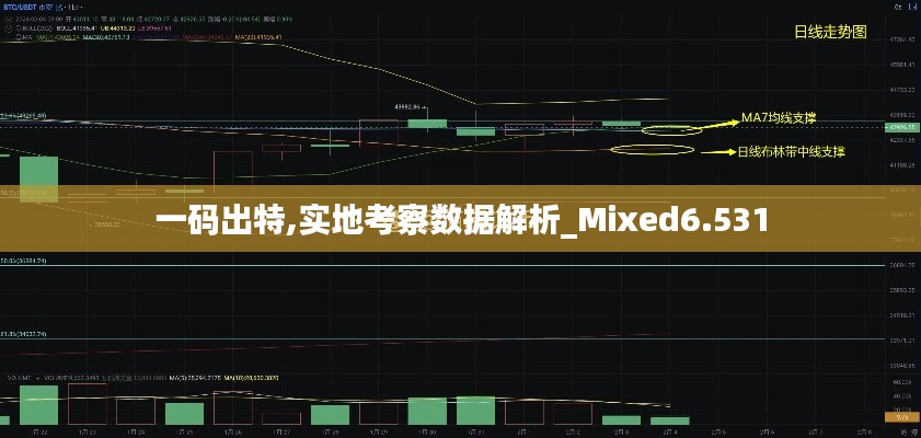 一码出特,实地考察数据解析_Mixed6.531