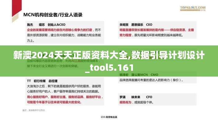 新澳2024天天正版资料大全,数据引导计划设计_tool5.161