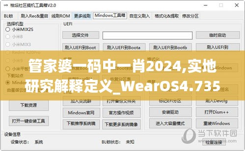 管家婆一码中一肖2024,实地研究解释定义_WearOS4.735
