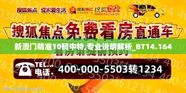 新澳门精准10码中特,专业说明解析_BT14.164