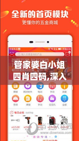 管家婆白小姐四肖四码,深入数据策略设计_Advance110.419