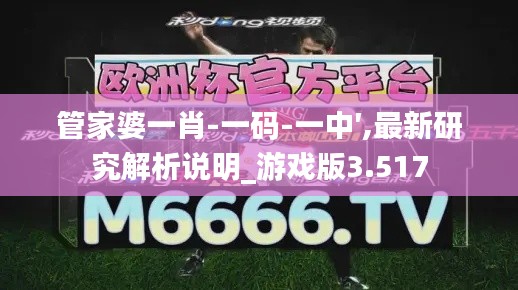 管家婆一肖-一码-一中′,最新研究解析说明_游戏版3.517