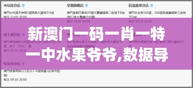 新澳门一码一肖一特一中水果爷爷,数据导向计划解析_iPhone8.622