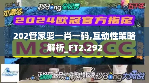 202管家婆一肖一码,互动性策略解析_FT2.292