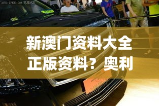 新澳门资料大全正版资料？奥利奥,动态解释词汇_铂金版3.336