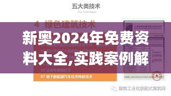 新奥2024年免费资料大全,实践案例解析说明_顶级款3.233