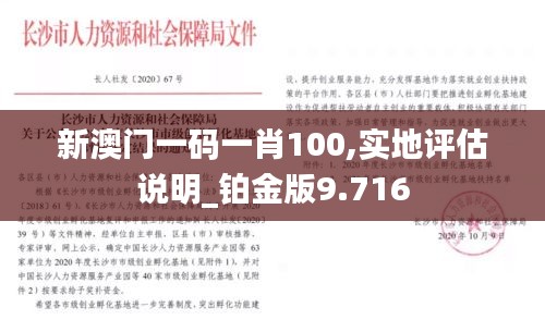 新澳门一码一肖100,实地评估说明_铂金版9.716