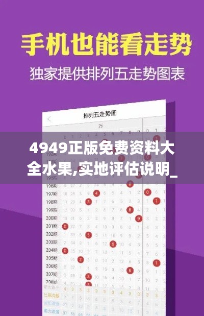 4949正版免费资料大全水果,实地评估说明_模拟版7.600