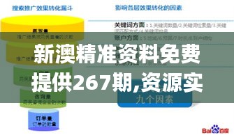 新澳精准资料免费提供267期,资源实施策略_SP8.556