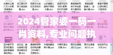 2024管家婆一码一肖资料,专业问题执行_静态版8.470