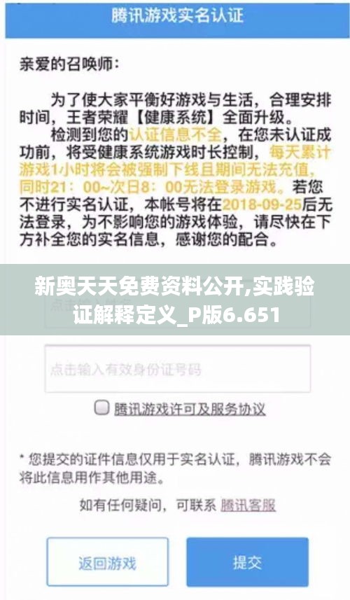 新奥天天免费资料公开,实践验证解释定义_P版6.651