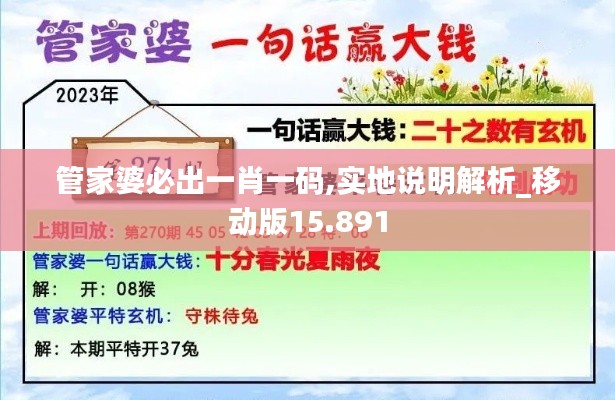 管家婆必出一肖一码,实地说明解析_移动版15.891