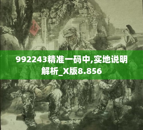 992243精准一码中,实地说明解析_X版8.856