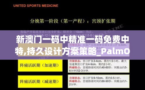 新澳门一码中精准一码免费中特,持久设计方案策略_PalmOS15.652