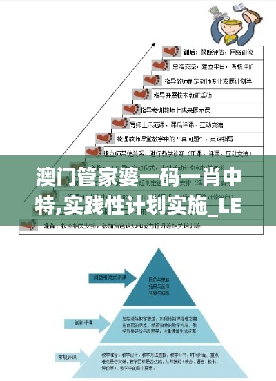 澳门管家婆一码一肖中特,实践性计划实施_LE版6.486