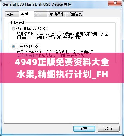 4949正版免费资料大全水果,精细执行计划_FHD版10.237