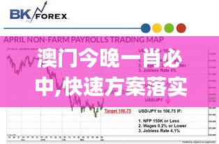 澳门今晚一肖必中,快速方案落实_android8.900