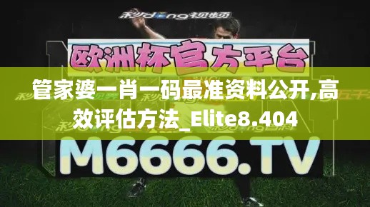 管家婆一肖一码最准资料公开,高效评估方法_Elite8.404