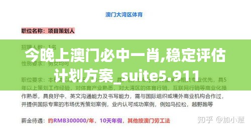 今晚上澳门必中一肖,稳定评估计划方案_suite5.911