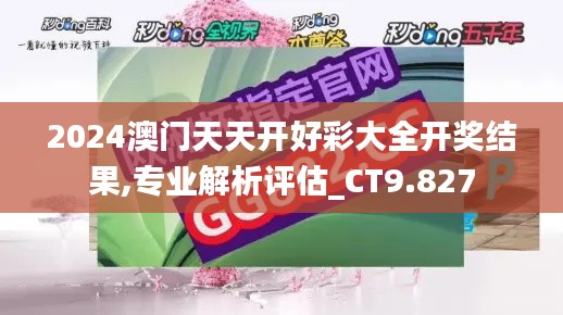 2024澳门天天开好彩大全开奖结果,专业解析评估_CT9.827