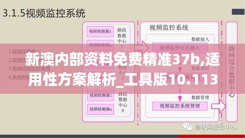 新澳内部资料免费精准37b,适用性方案解析_工具版10.113
