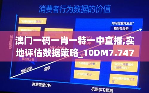 澳门一码一肖一特一中直播,实地评估数据策略_10DM7.747